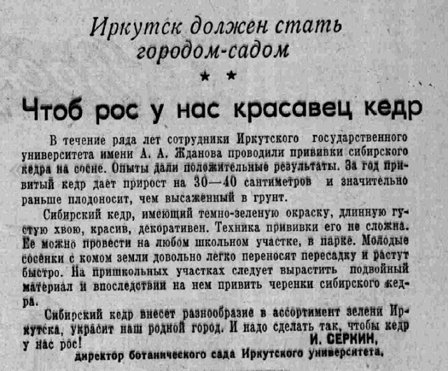 Иркутск должен стать городом-садом