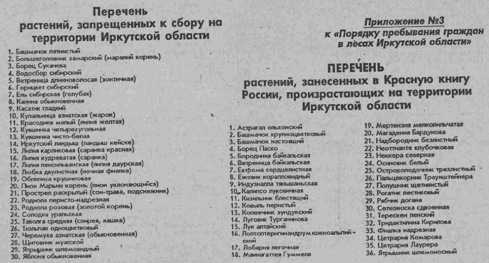 Перечень растений, запрещённых к сбору на территории Иркутской области